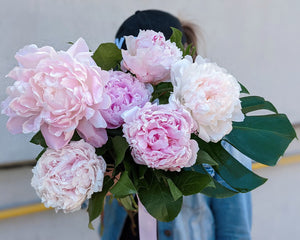 4 WEEK PEONY SUBSCRIPTION
